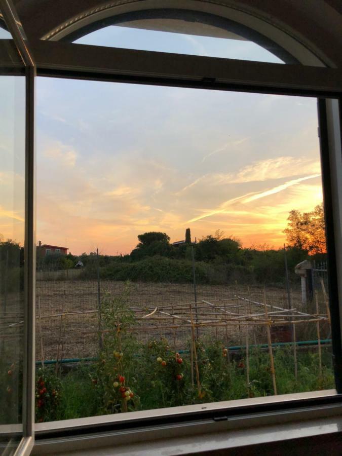 Agriturismo "Lo Zafferano" Aprilia Extérieur photo