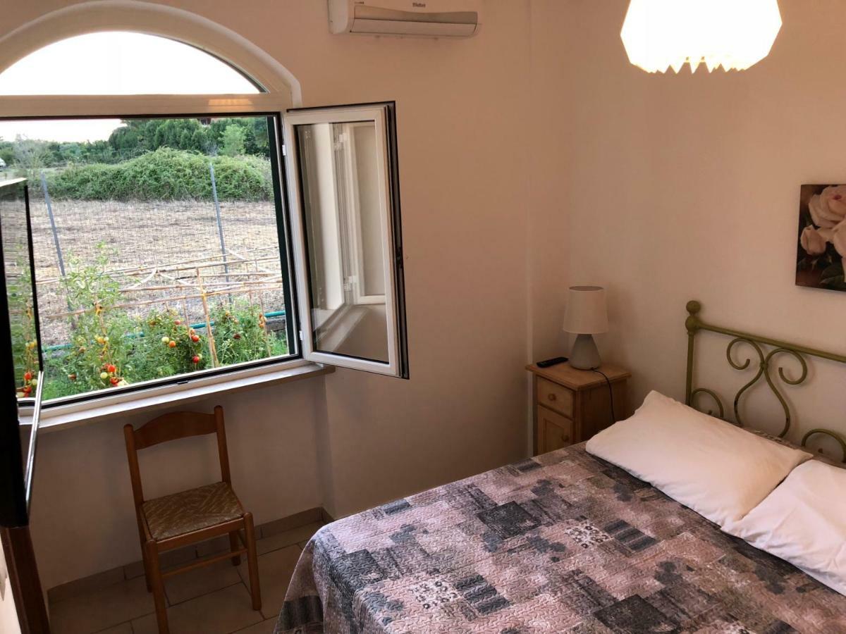 Agriturismo "Lo Zafferano" Aprilia Extérieur photo